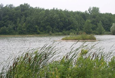 trestle_park_pond